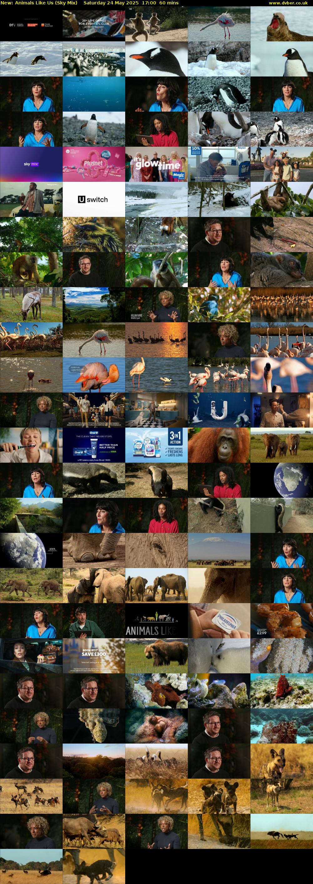 Animals Like Us (Sky Mix) Saturday 24 May 2025 17:00 - 18:00