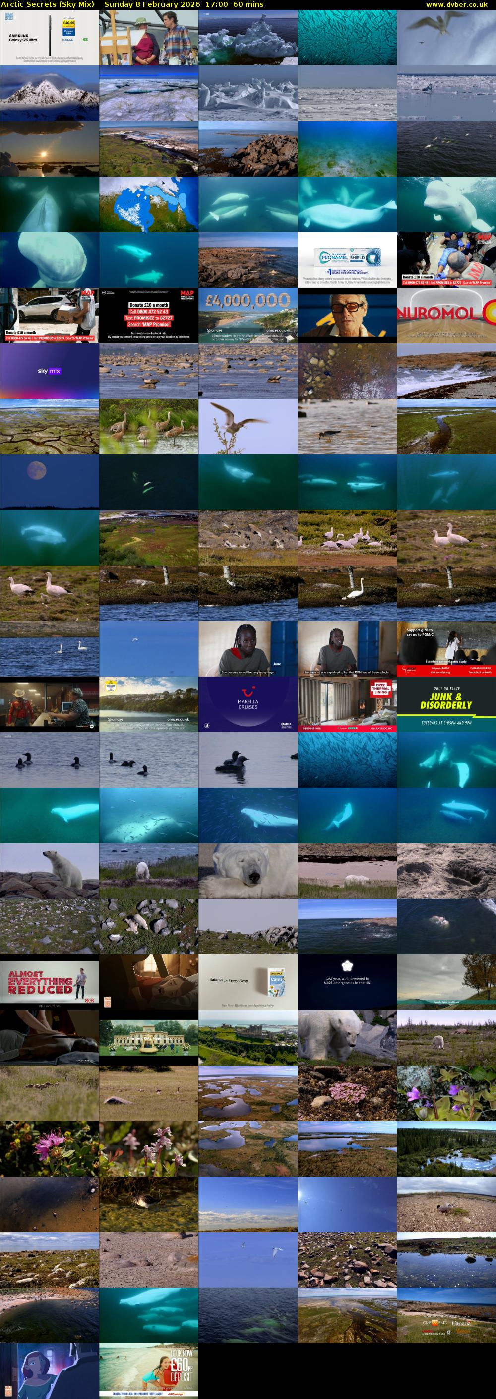 Arctic Secrets (Sky Mix) Sunday 8 February 2026 17:00 - 18:00