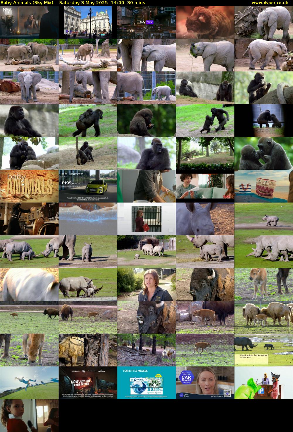 Baby Animals (Sky Mix) Saturday 3 May 2025 14:00 - 14:30