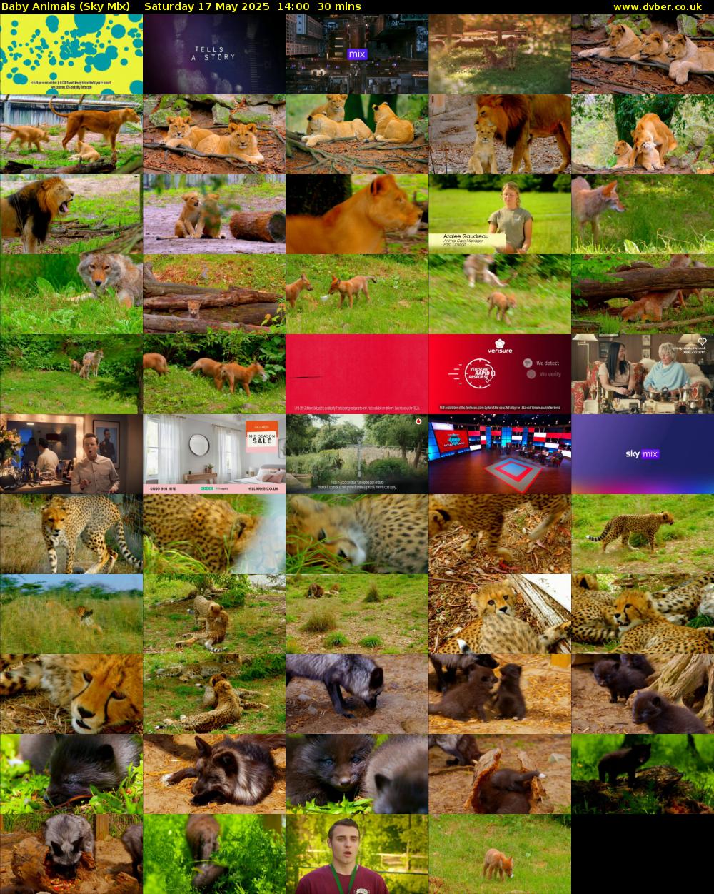 Baby Animals (Sky Mix) Saturday 17 May 2025 14:00 - 14:30