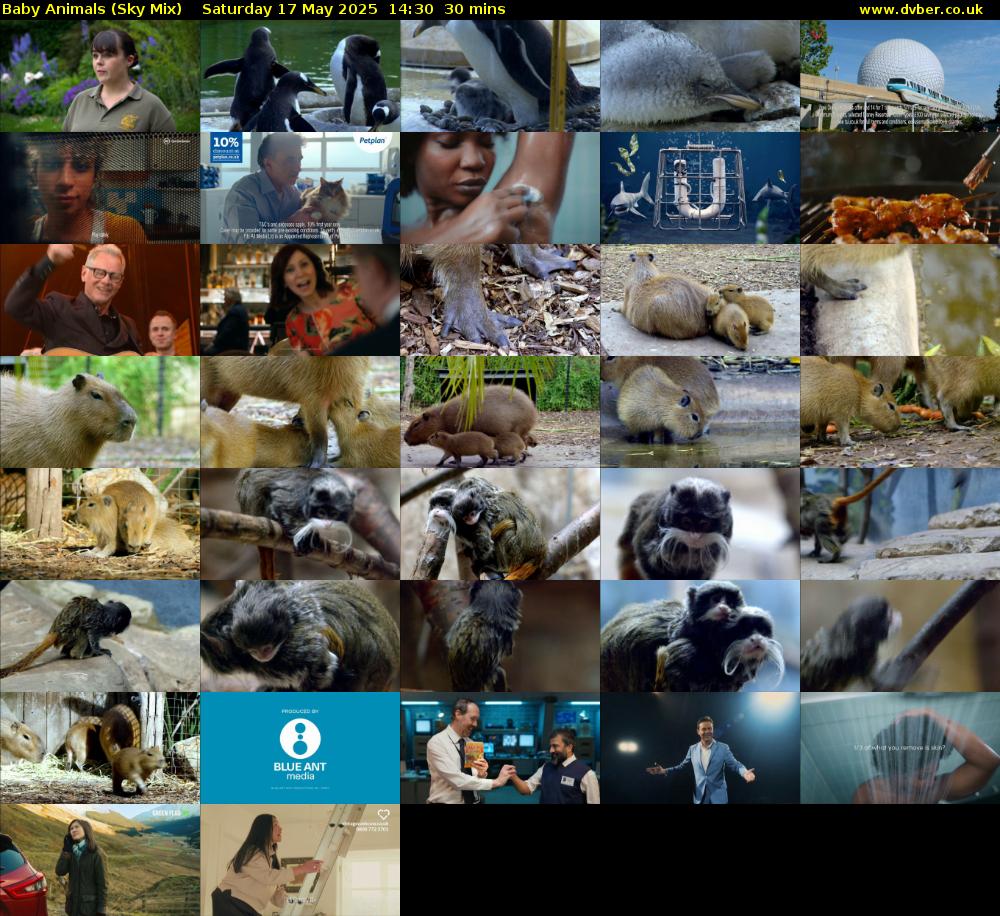 Baby Animals (Sky Mix) Saturday 17 May 2025 14:30 - 15:00