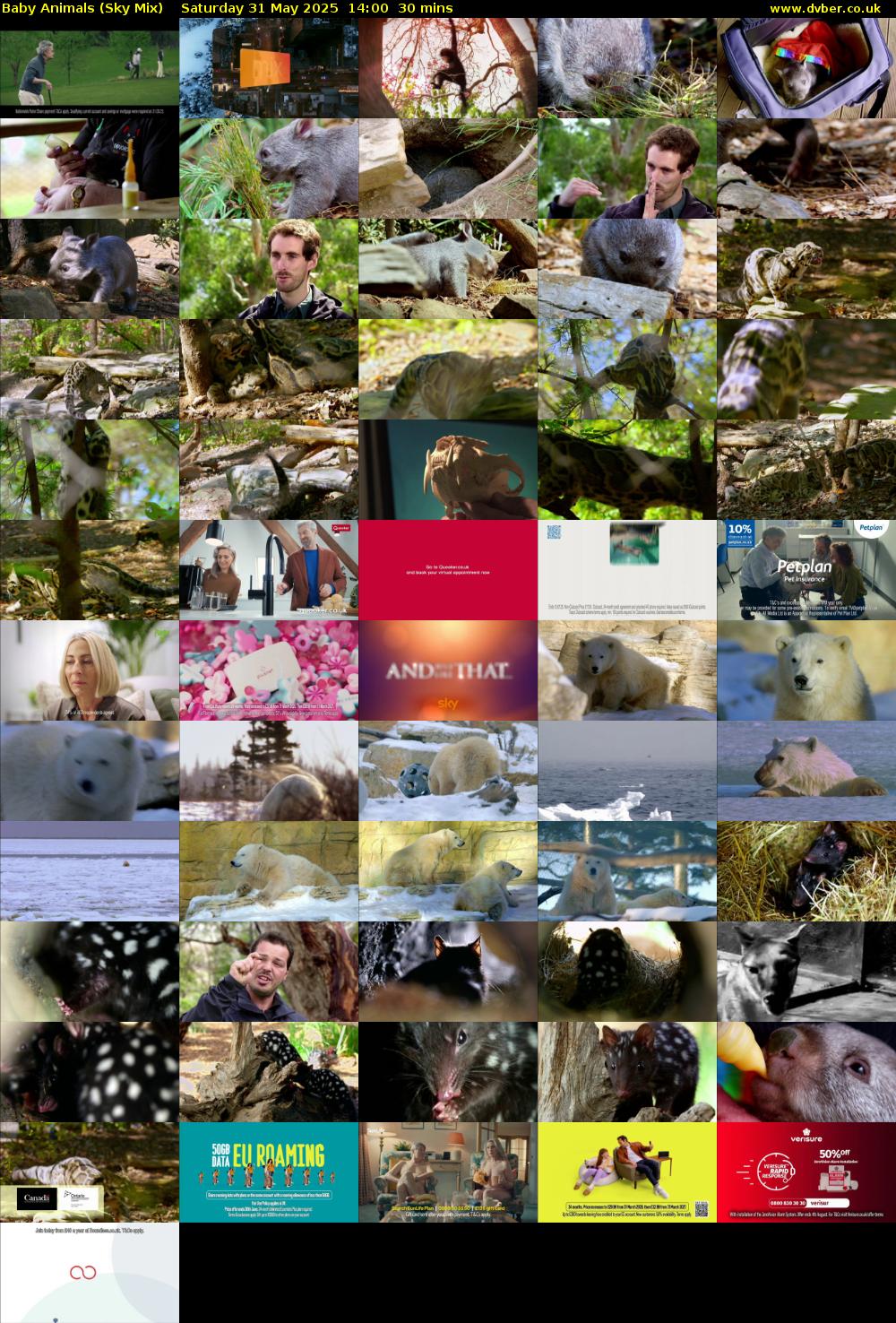 Baby Animals (Sky Mix) Saturday 31 May 2025 14:00 - 14:30