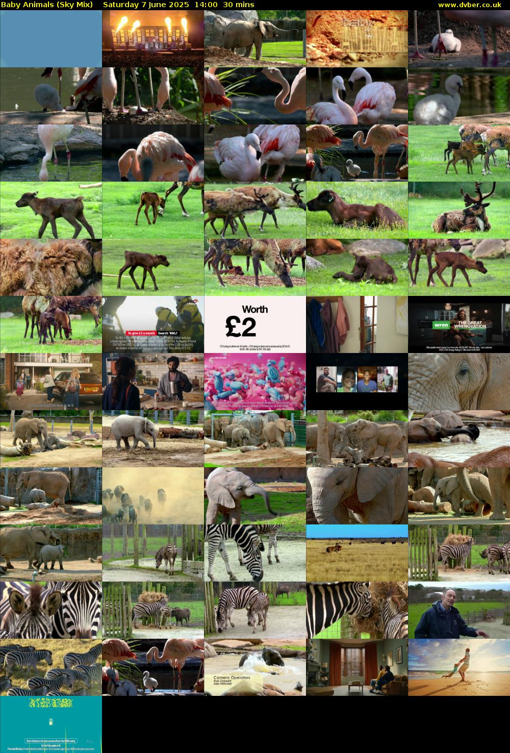Baby Animals (Sky Mix) Saturday 7 June 2025 14:00 - 14:30
