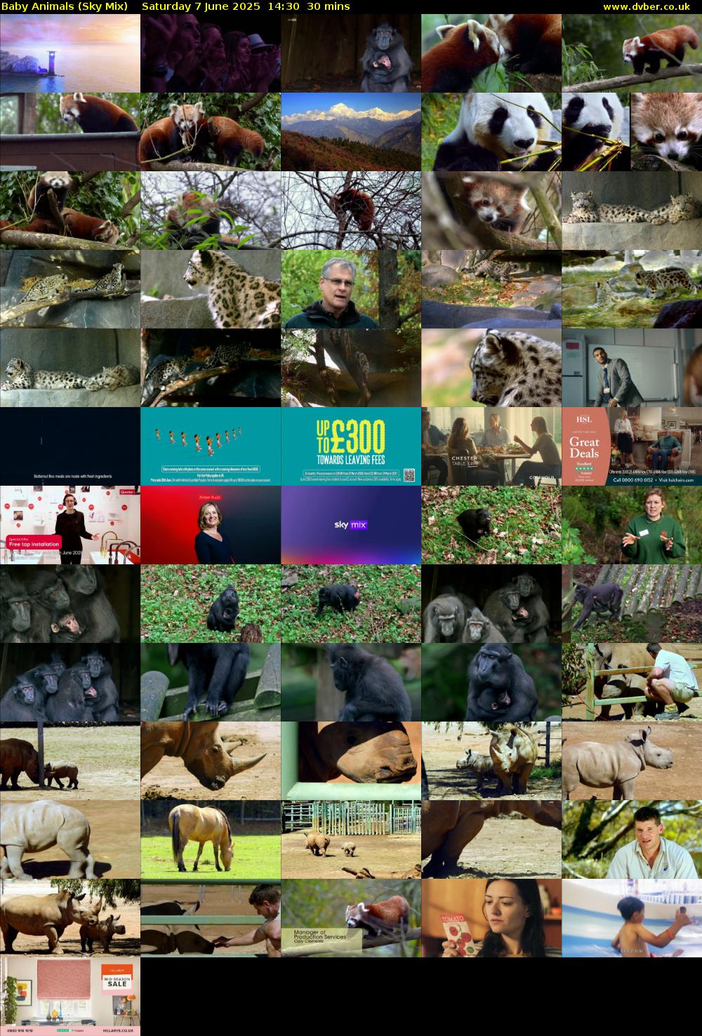 Baby Animals (Sky Mix) Saturday 7 June 2025 14:30 - 15:00