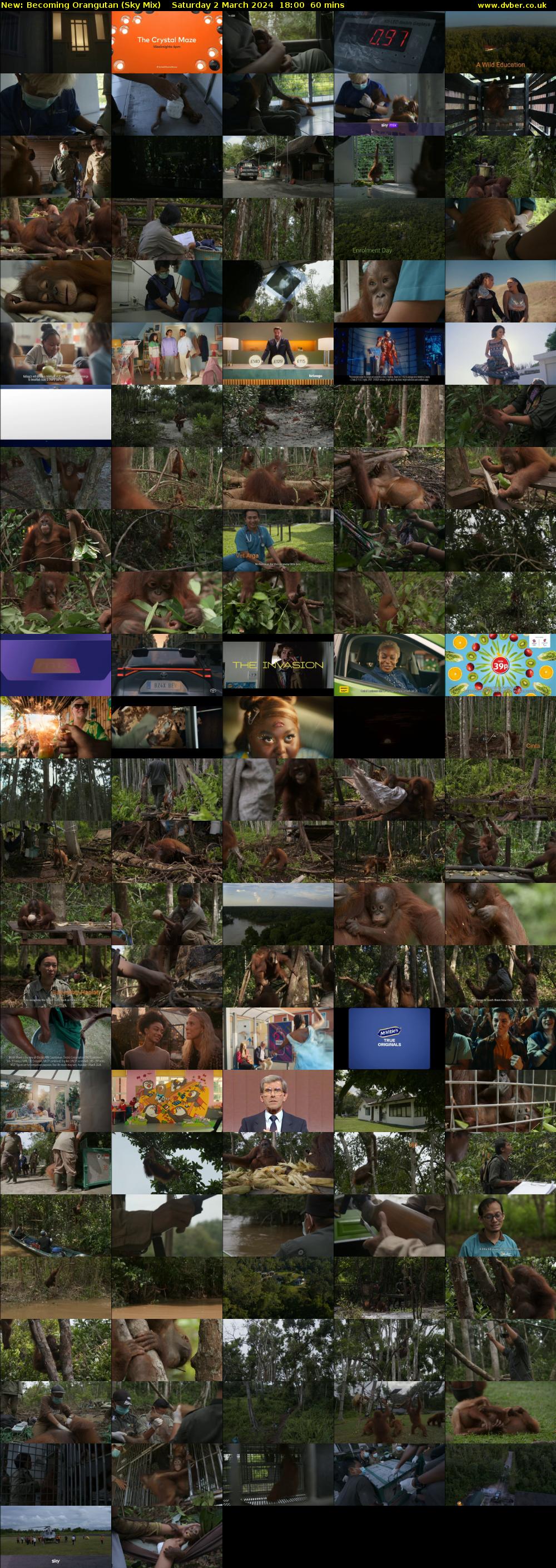 Becoming Orangutan (Sky Mix) Saturday 2 March 2024 18:00 - 19:00