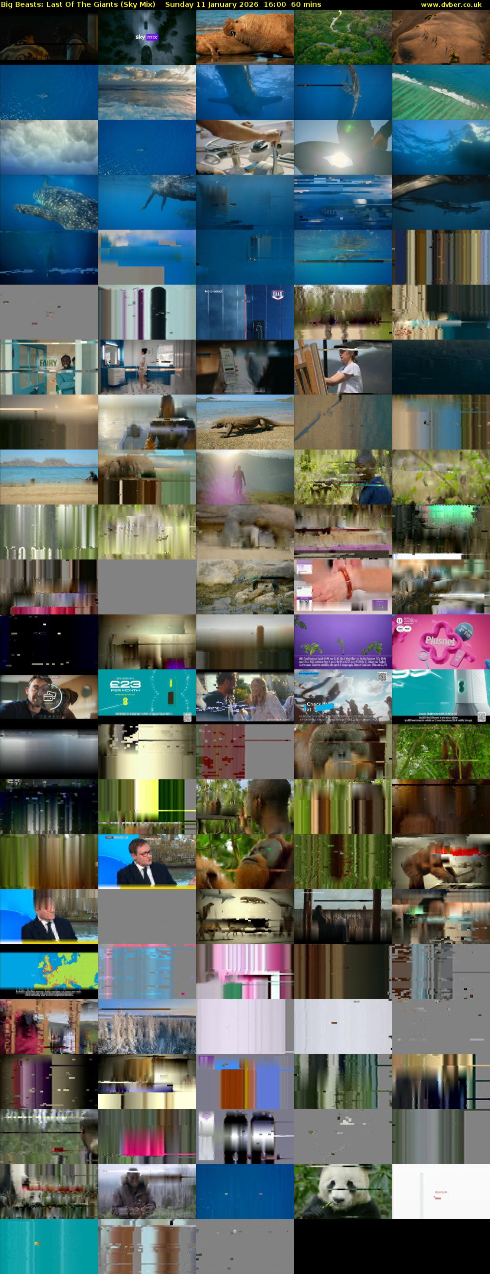 Big Beasts: Last Of The Giants (Sky Mix) Sunday 11 January 2026 16:00 - 17:00