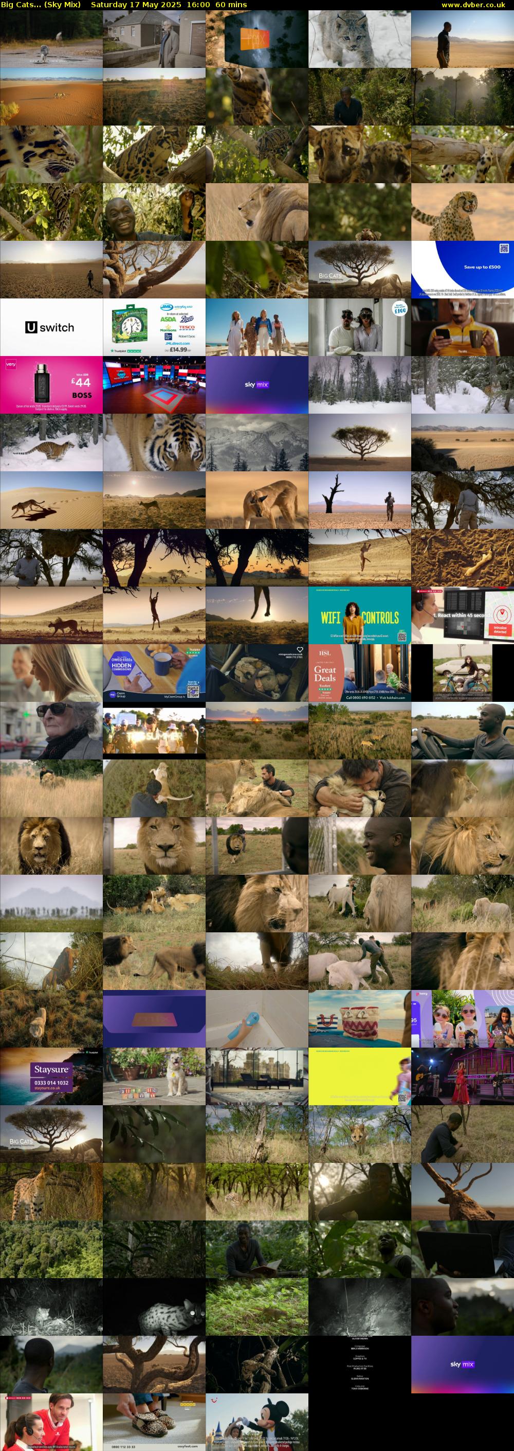 Big Cats... (Sky Mix) Saturday 17 May 2025 16:00 - 17:00