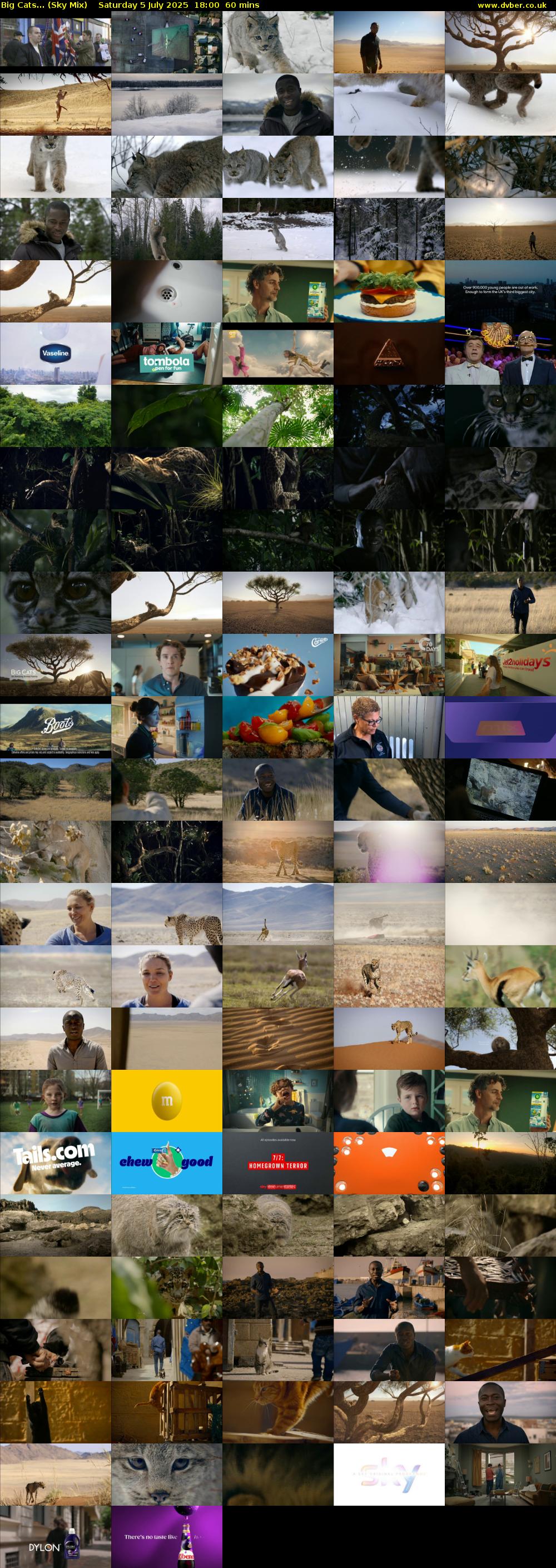 Big Cats... (Sky Mix) Saturday 5 July 2025 18:00 - 19:00