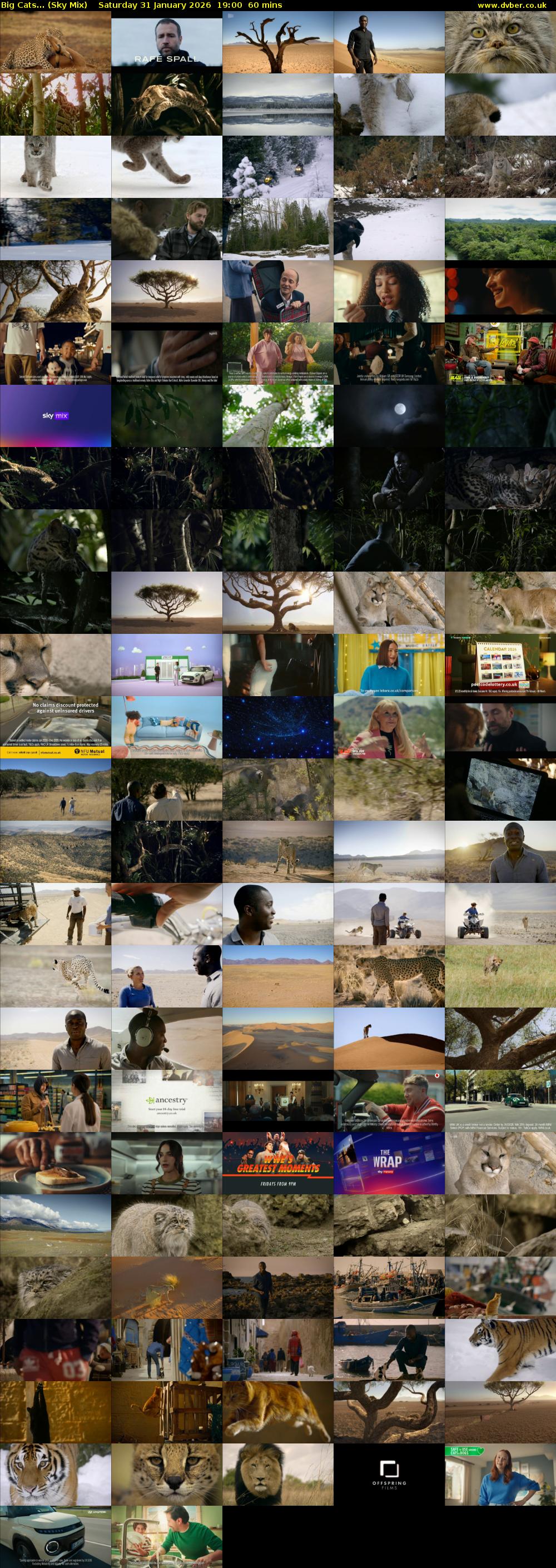 Big Cats... (Sky Mix) Saturday 31 January 2026 19:00 - 20:00