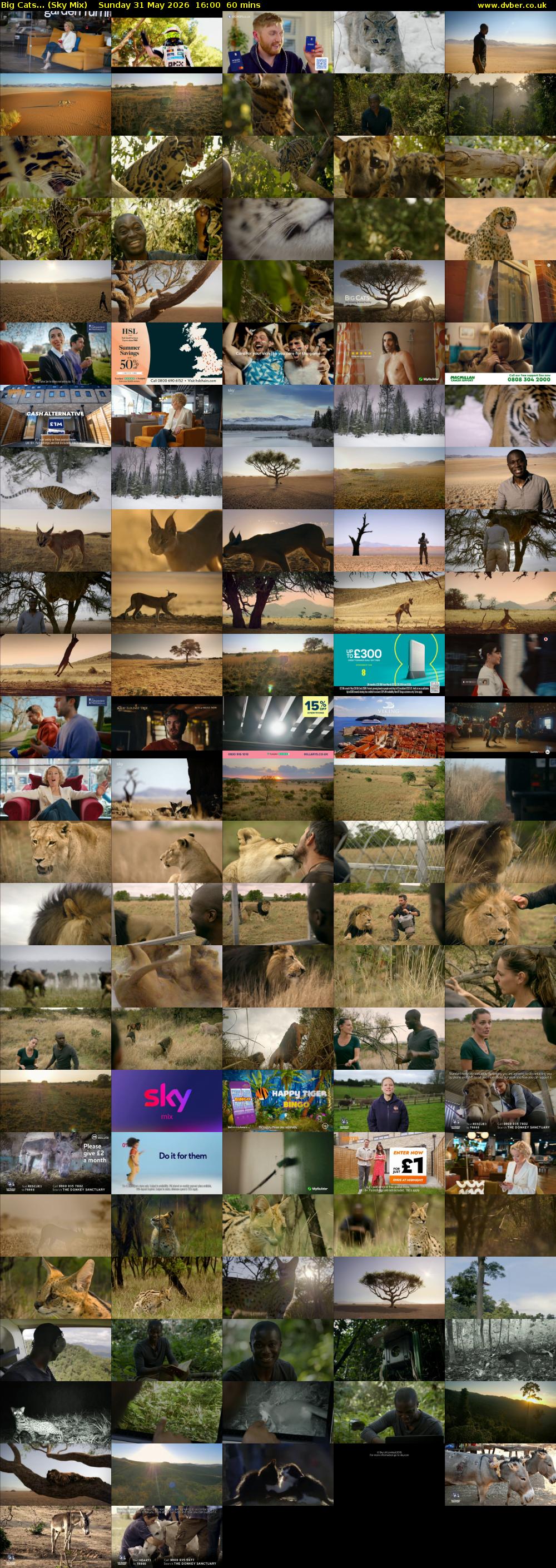 Big Cats... (Sky Mix) Sunday 31 May 2026 16:00 - 17:00
