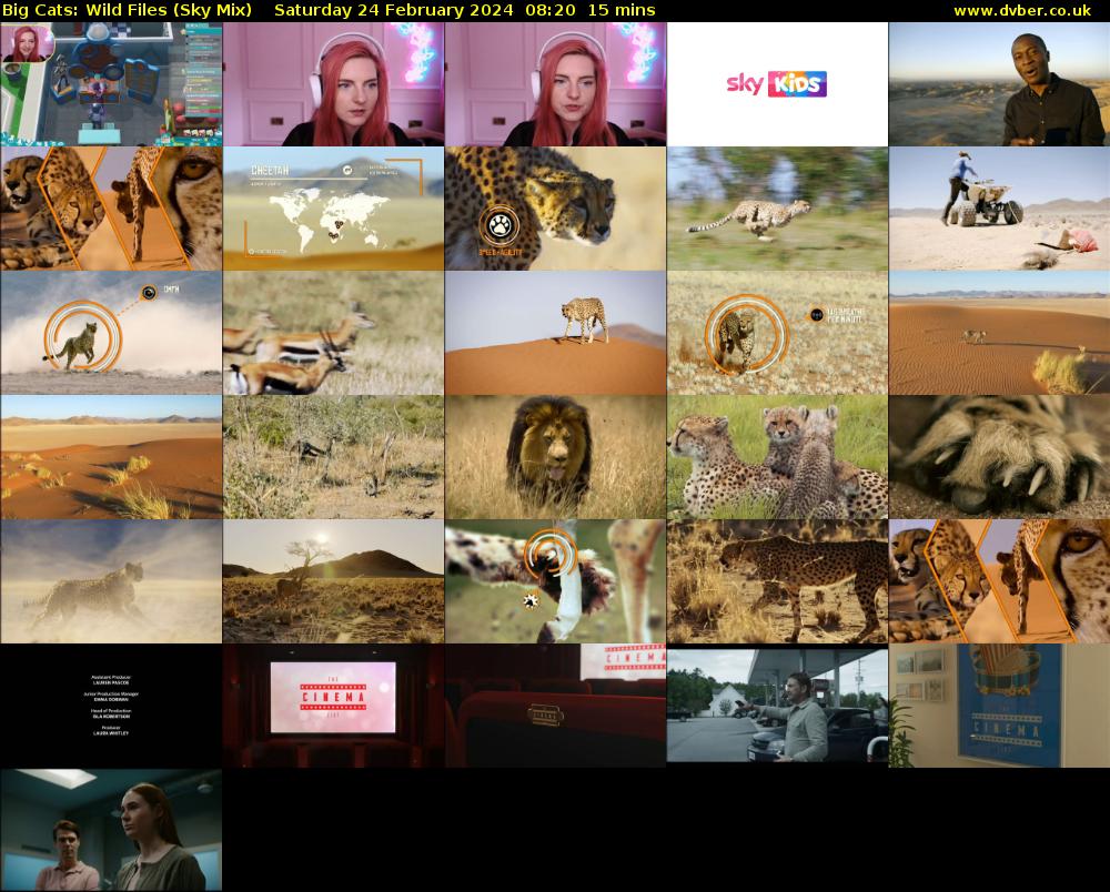 Big Cats: Wild Files (Sky Mix) Saturday 24 February 2024 08:20 - 08:35