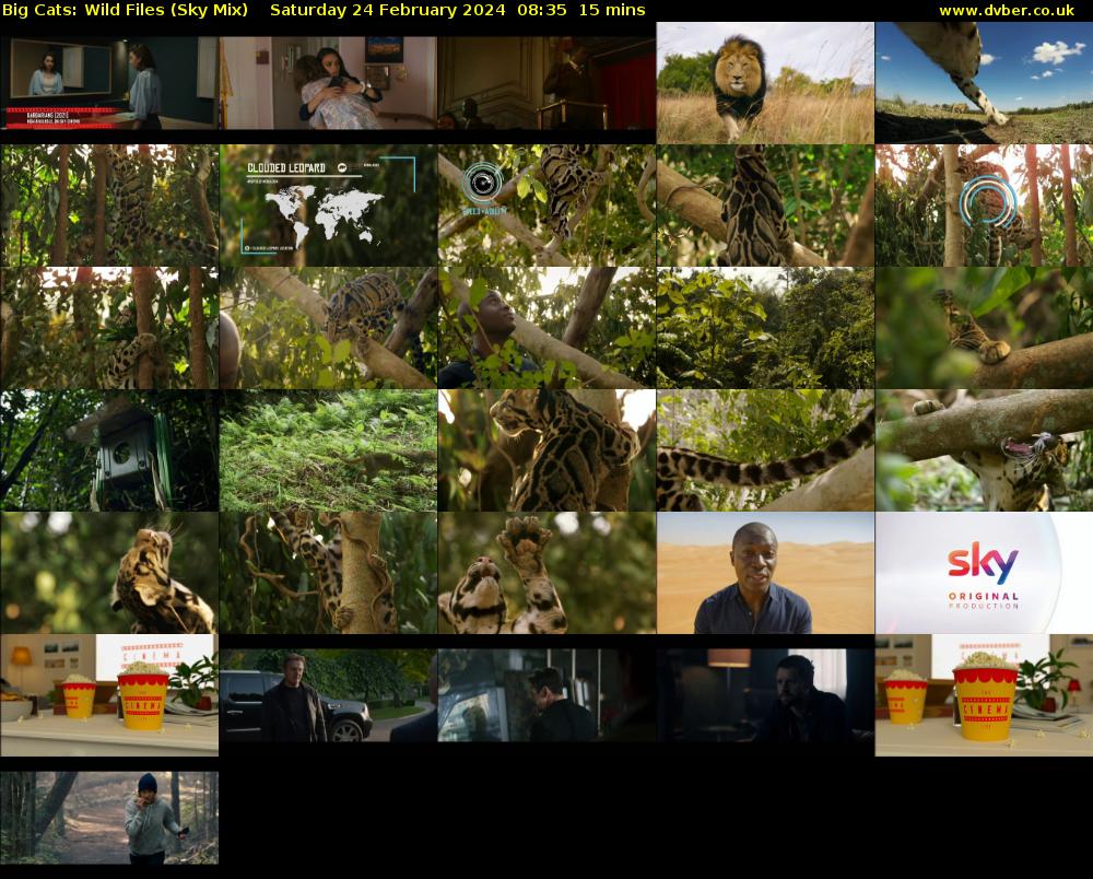 Big Cats: Wild Files (Sky Mix) Saturday 24 February 2024 08:35 - 08:50