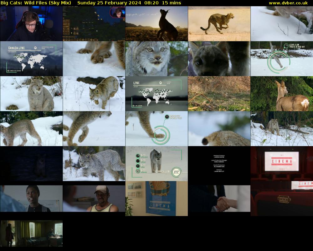 Big Cats: Wild Files (Sky Mix) Sunday 25 February 2024 08:20 - 08:35