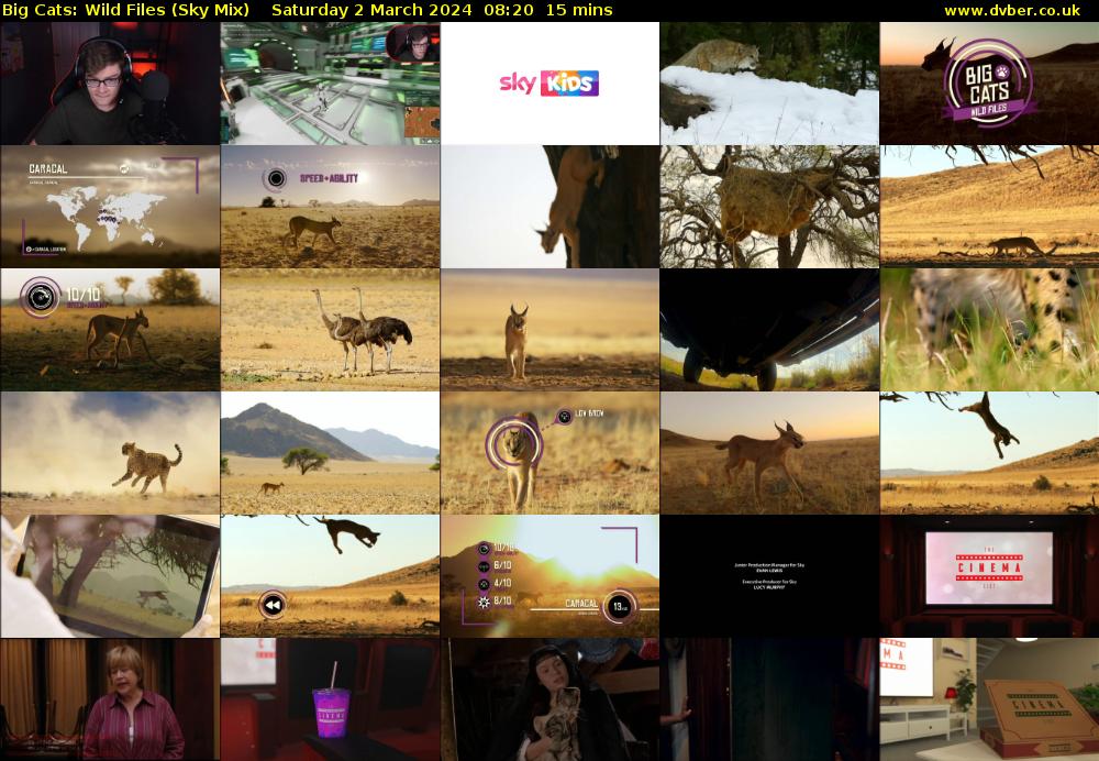 Big Cats: Wild Files (Sky Mix) Saturday 2 March 2024 08:20 - 08:35