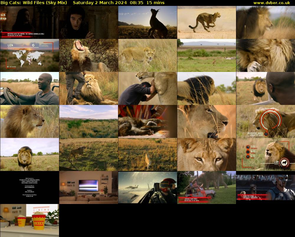 Big Cats: Wild Files (Sky Mix) Saturday 2 March 2024 08:35 - 08:50