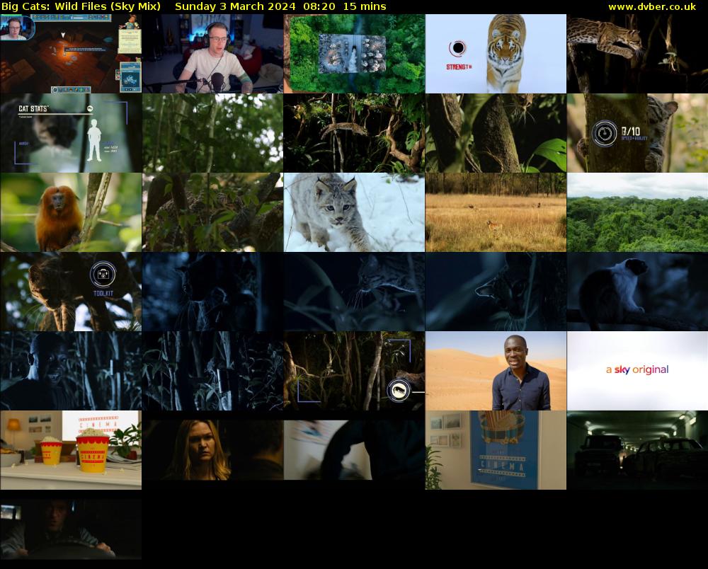 Big Cats: Wild Files (Sky Mix) Sunday 3 March 2024 08:20 - 08:35