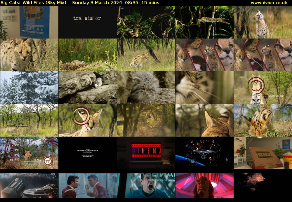 Big Cats: Wild Files (Sky Mix) Sunday 3 March 2024 08:35 - 08:50