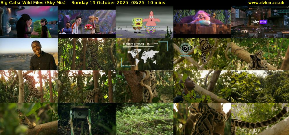 Big Cats: Wild Files (Sky Mix) Sunday 19 October 2025 08:25 - 08:35