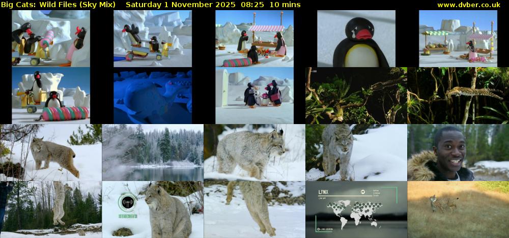 Big Cats: Wild Files (Sky Mix) Saturday 1 November 2025 08:25 - 08:35