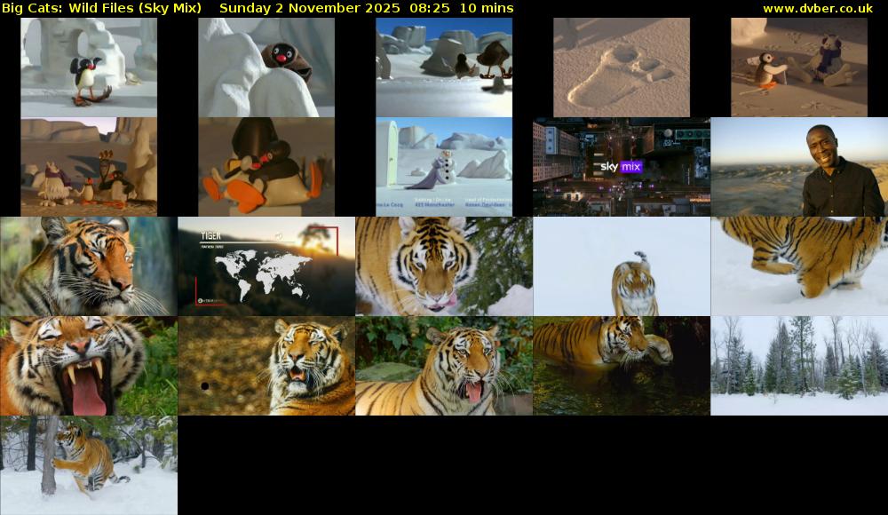 Big Cats: Wild Files (Sky Mix) Sunday 2 November 2025 08:25 - 08:35