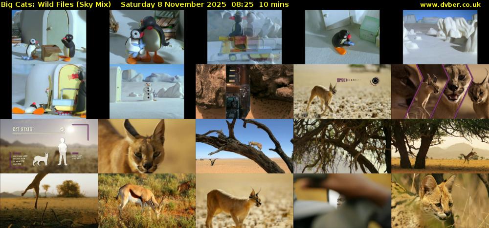 Big Cats: Wild Files (Sky Mix) Saturday 8 November 2025 08:25 - 08:35