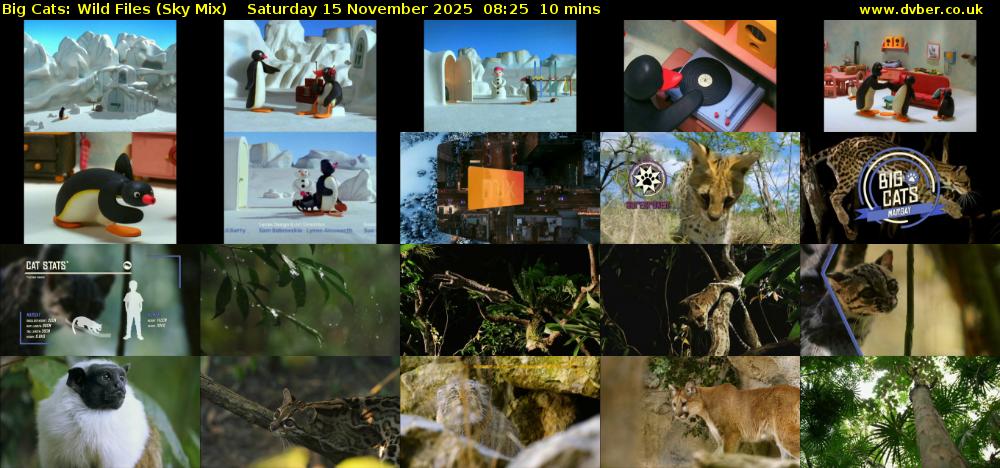 Big Cats: Wild Files (Sky Mix) Saturday 15 November 2025 08:25 - 08:35