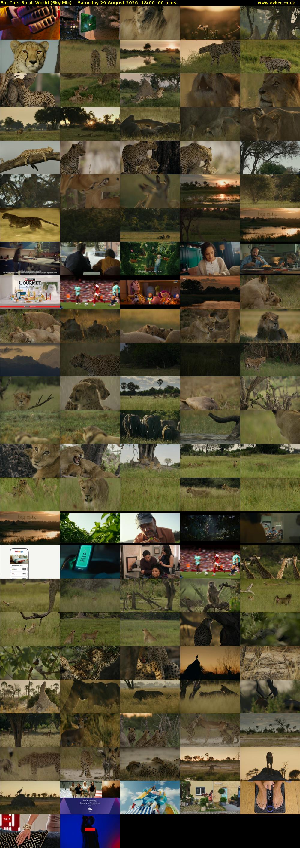 Big Cats Small World (Sky Mix) Saturday 29 August 2026 18:00 - 19:00