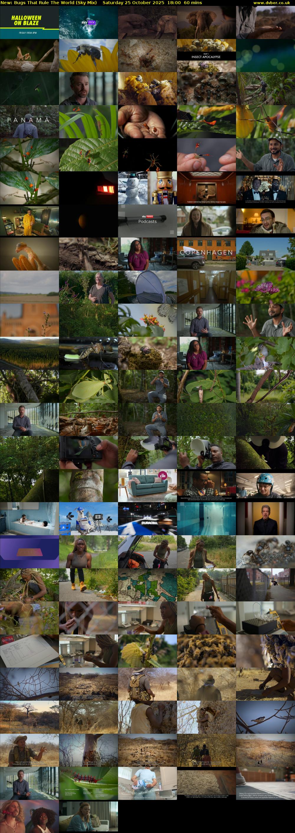 Bugs That Rule The World (Sky Mix) Saturday 25 October 2025 18:00 - 19:00