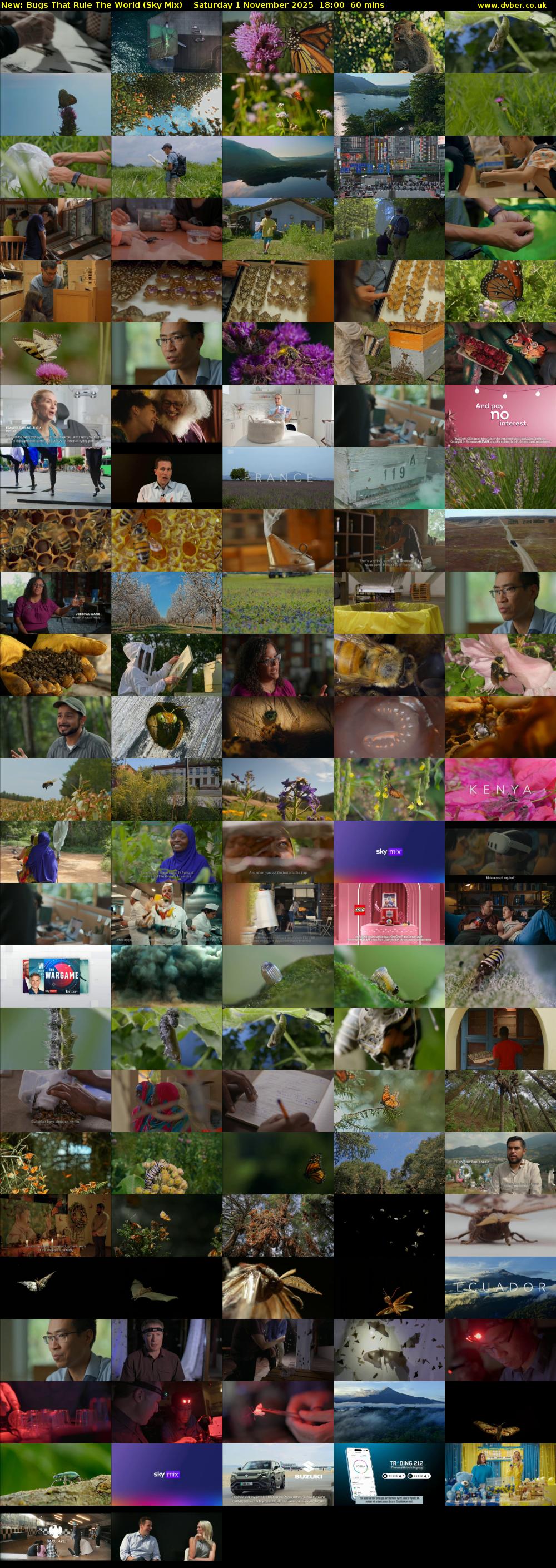 Bugs That Rule The World (Sky Mix) Saturday 1 November 2025 18:00 - 19:00