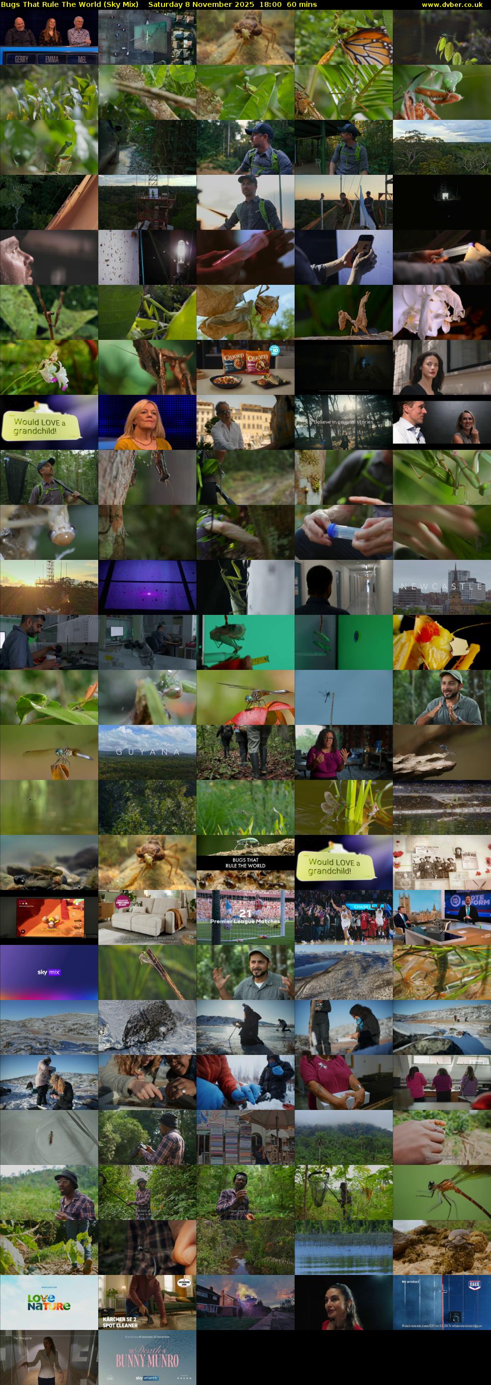 Bugs That Rule The World (Sky Mix) Saturday 8 November 2025 18:00 - 19:00