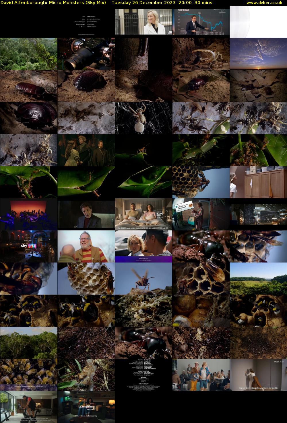 David Attenborough: Micro Monsters (Sky Mix) Tuesday 26 December 2023 20:00 - 20:30