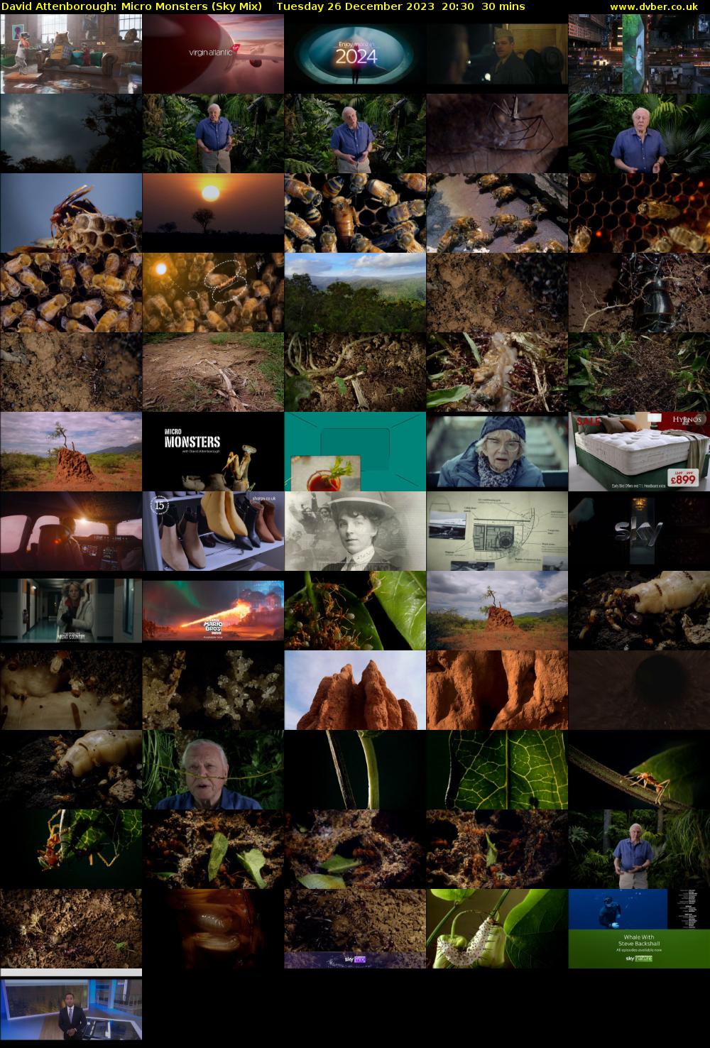 David Attenborough: Micro Monsters (Sky Mix) Tuesday 26 December 2023 20:30 - 21:00