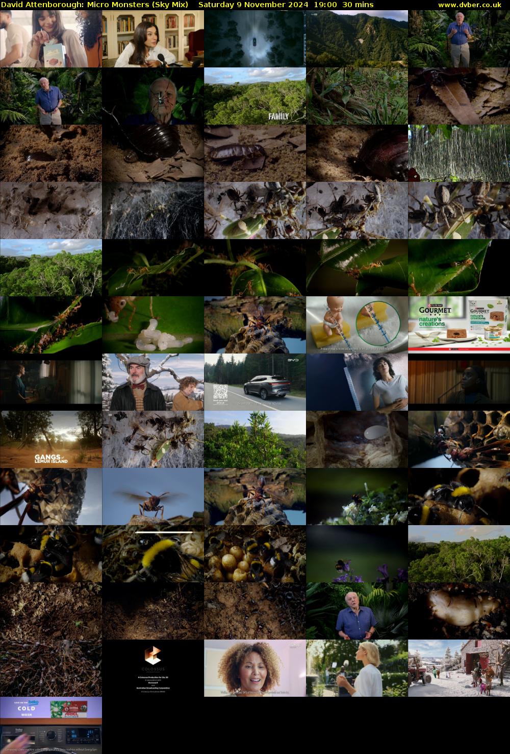 David Attenborough: Micro Monsters (Sky Mix) Saturday 9 November 2024 19:00 - 19:30