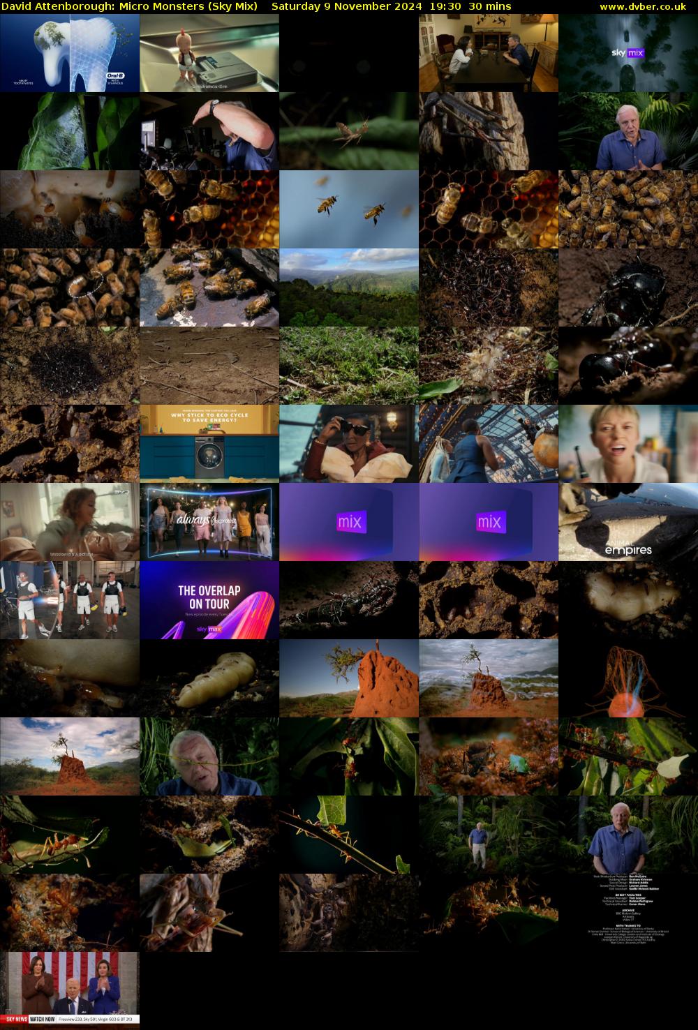 David Attenborough: Micro Monsters (Sky Mix) Saturday 9 November 2024 19:30 - 20:00