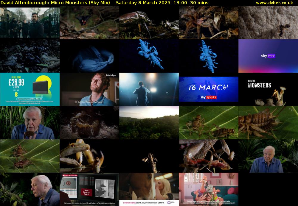 David Attenborough: Micro Monsters (Sky Mix) Saturday 8 March 2025 13:00 - 13:30