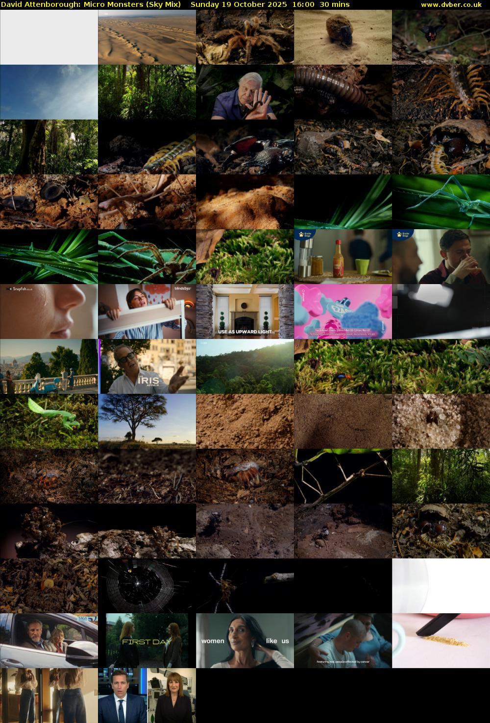 David Attenborough: Micro Monsters (Sky Mix) Sunday 19 October 2025 16:00 - 16:30