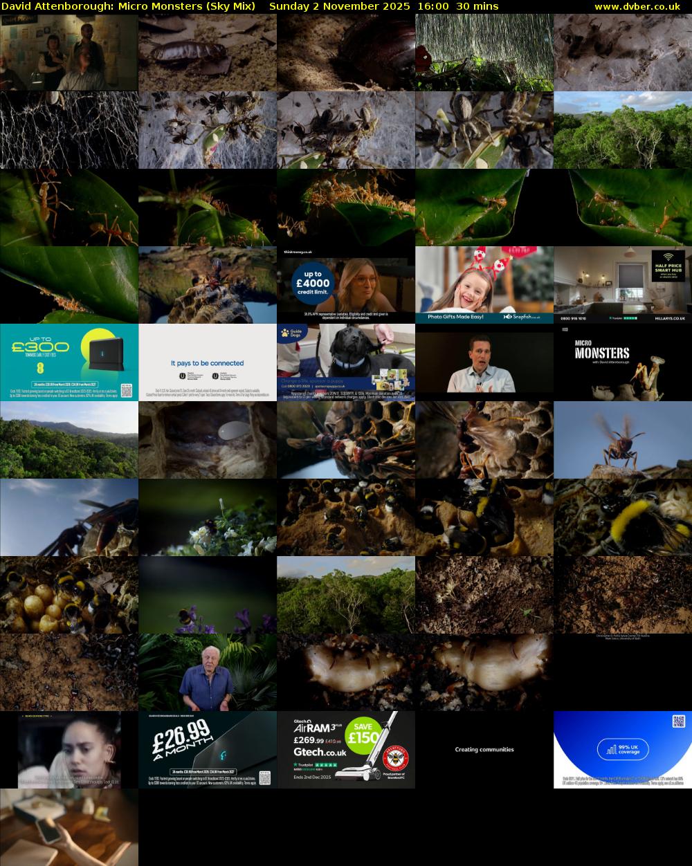 David Attenborough: Micro Monsters (Sky Mix) Sunday 2 November 2025 16:00 - 16:30