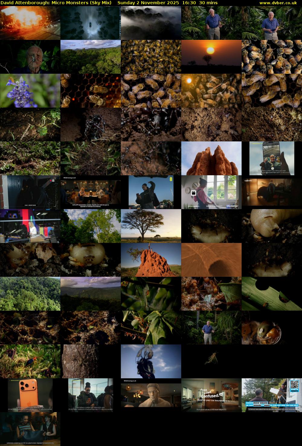 David Attenborough: Micro Monsters (Sky Mix) Sunday 2 November 2025 16:30 - 17:00