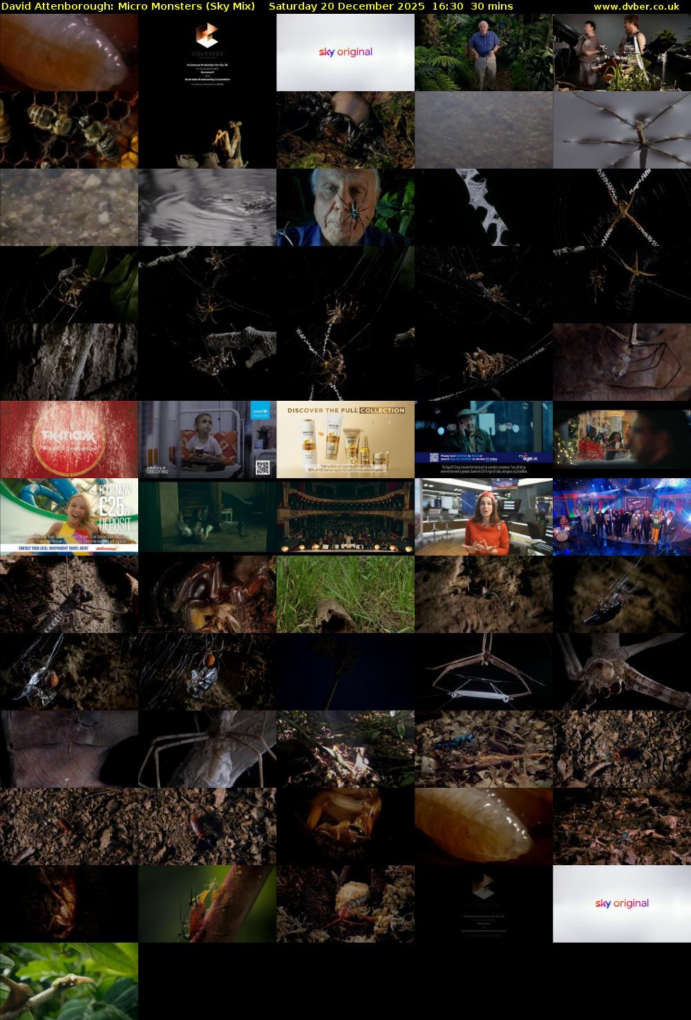 David Attenborough: Micro Monsters (Sky Mix) Saturday 20 December 2025 16:30 - 17:00