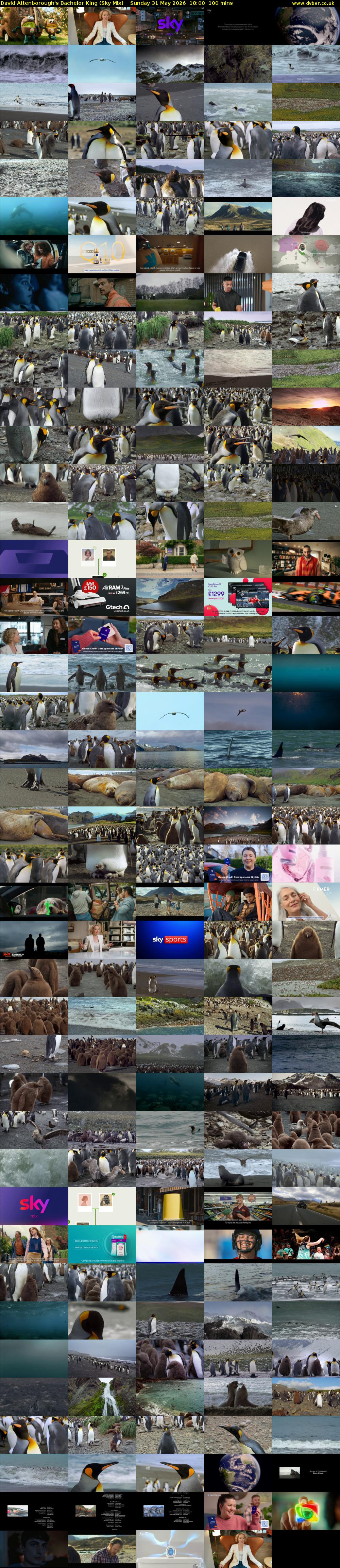 David Attenborough's Bachelor King (Sky Mix) Sunday 31 May 2026 18:00 - 19:40