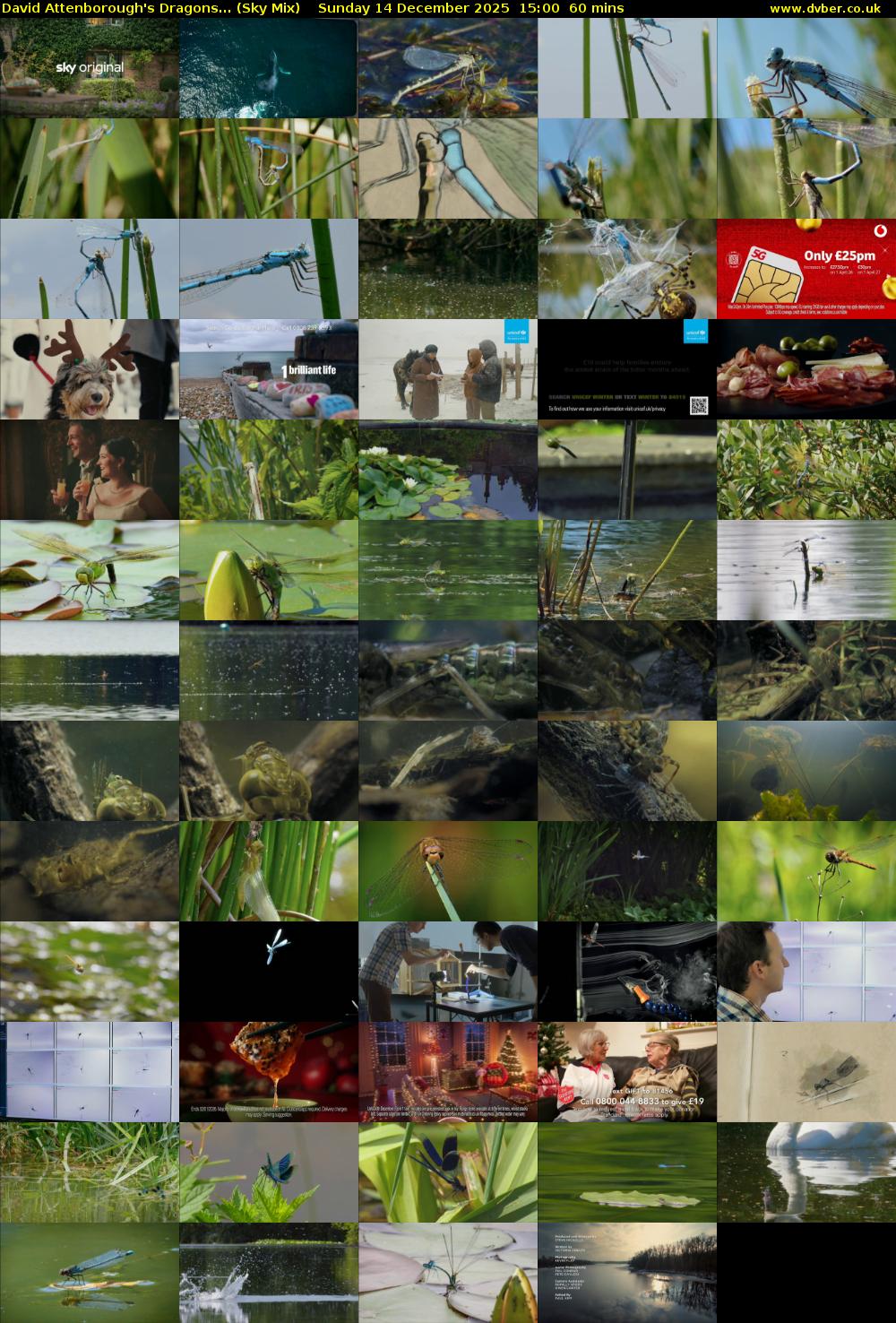 David Attenborough's Dragons... (Sky Mix) Sunday 14 December 2025 15:00 - 16:00
