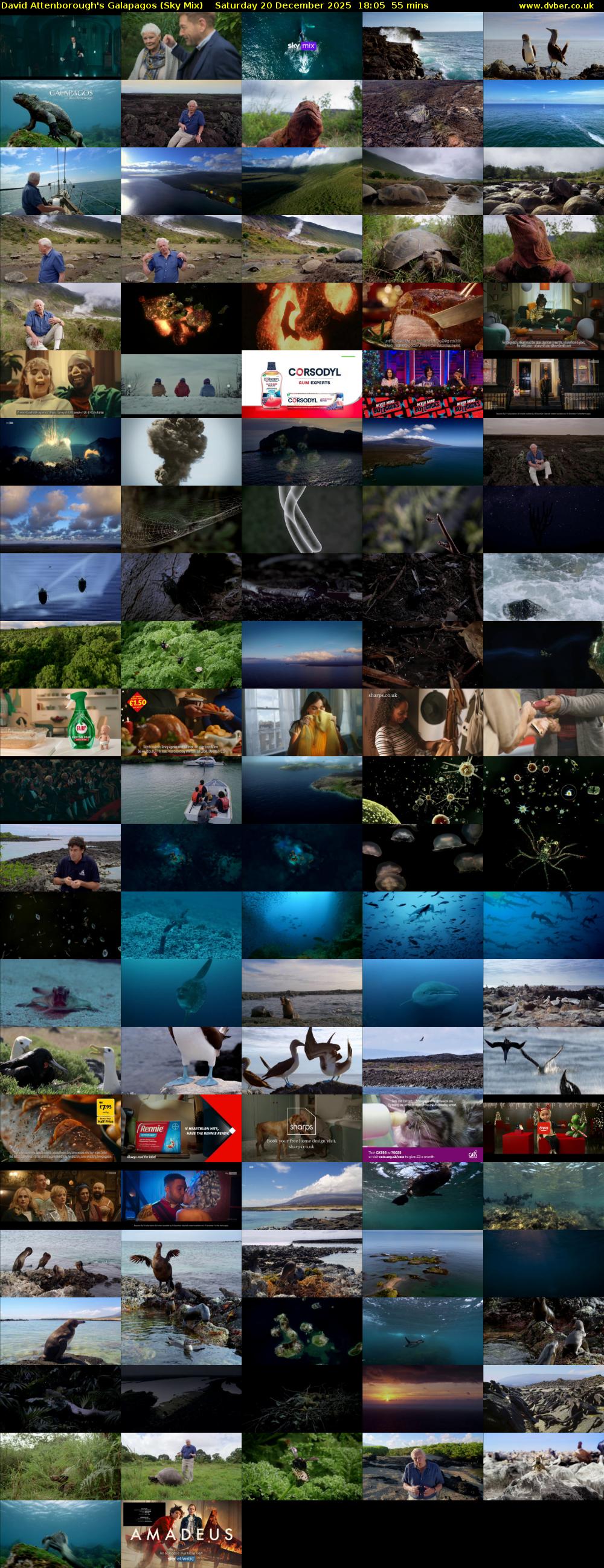 David Attenborough's Galapagos (Sky Mix) Saturday 20 December 2025 18:05 - 19:00