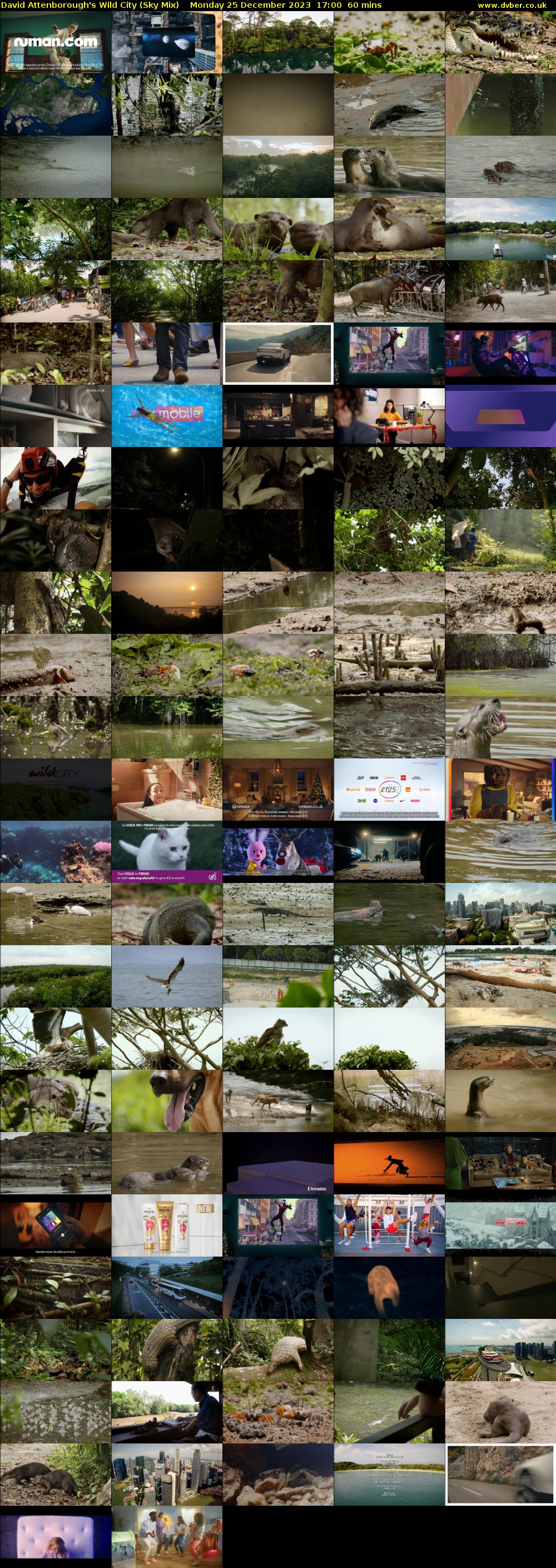 David Attenborough's Wild City (Sky Mix) Monday 25 December 2023 17:00 - 18:00