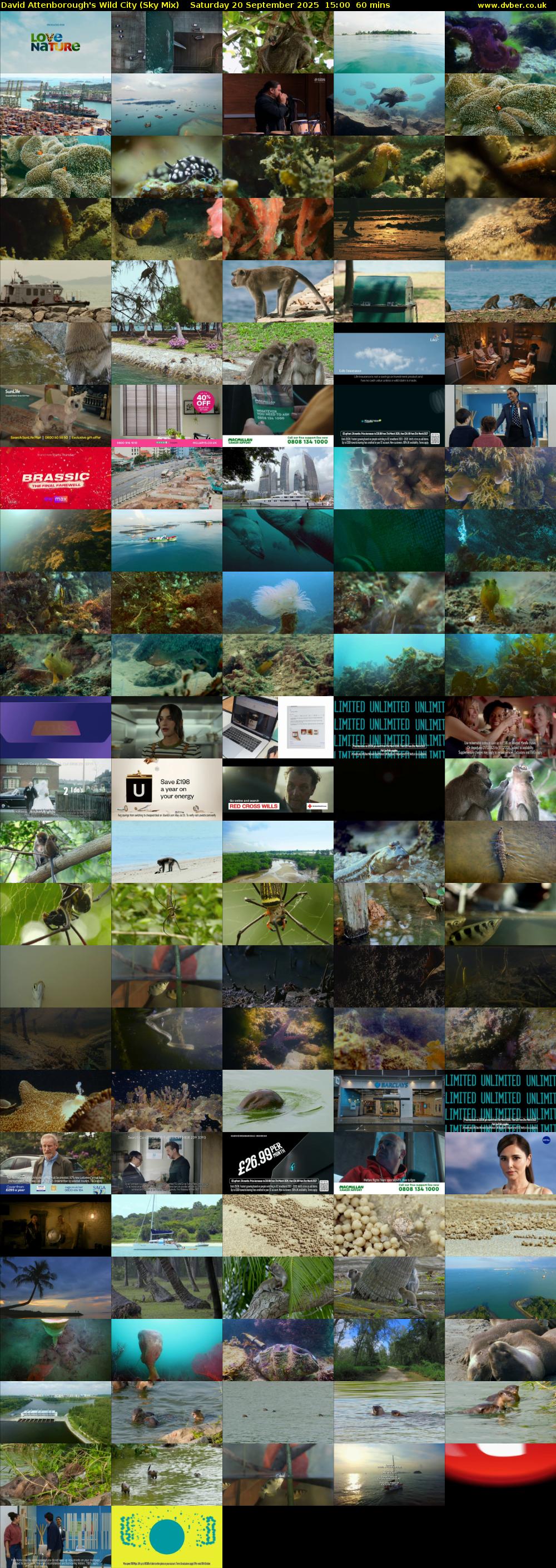 David Attenborough's Wild City (Sky Mix) Saturday 20 September 2025 15:00 - 16:00