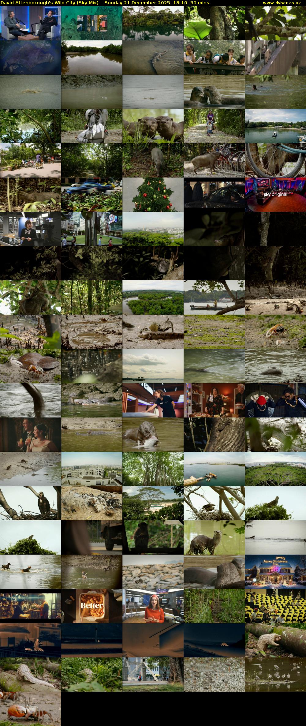David Attenborough's Wild City (Sky Mix) Sunday 21 December 2025 18:10 - 19:00
