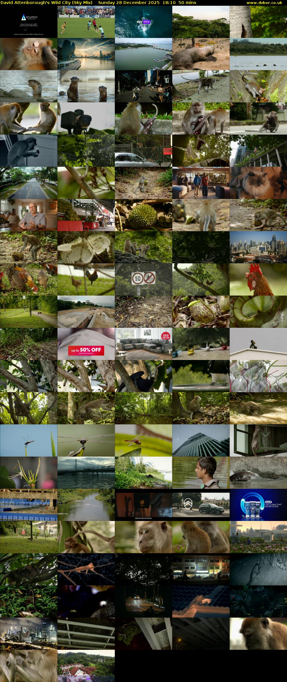 David Attenborough's Wild City (Sky Mix) Sunday 28 December 2025 18:10 - 19:00