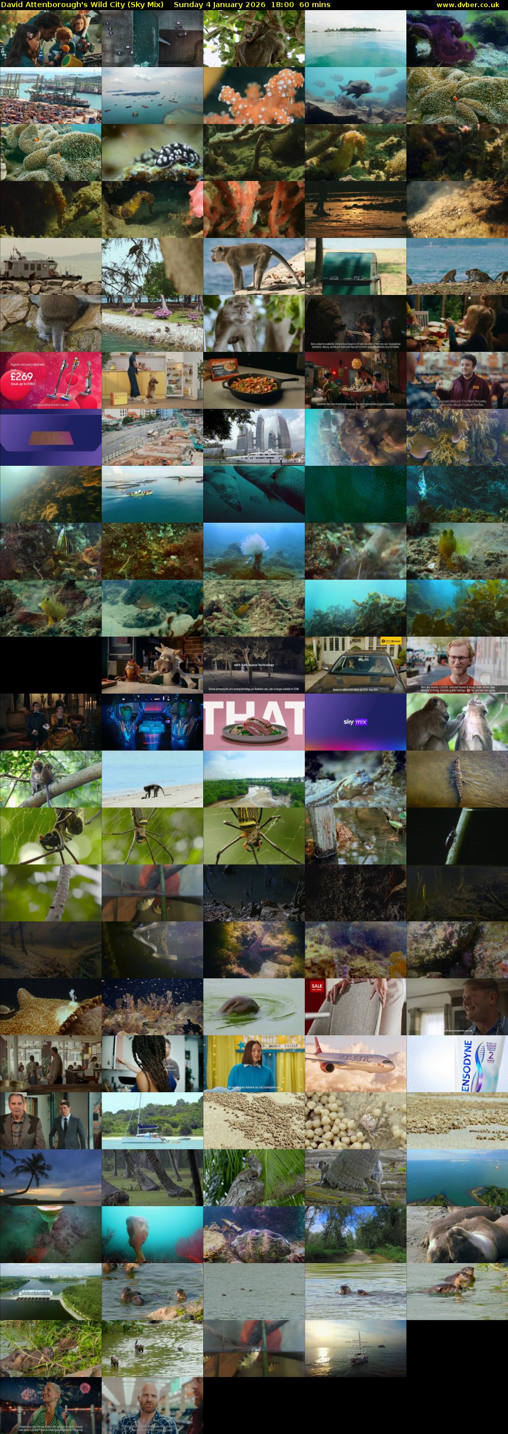 David Attenborough's Wild City (Sky Mix) Sunday 4 January 2026 18:00 - 19:00