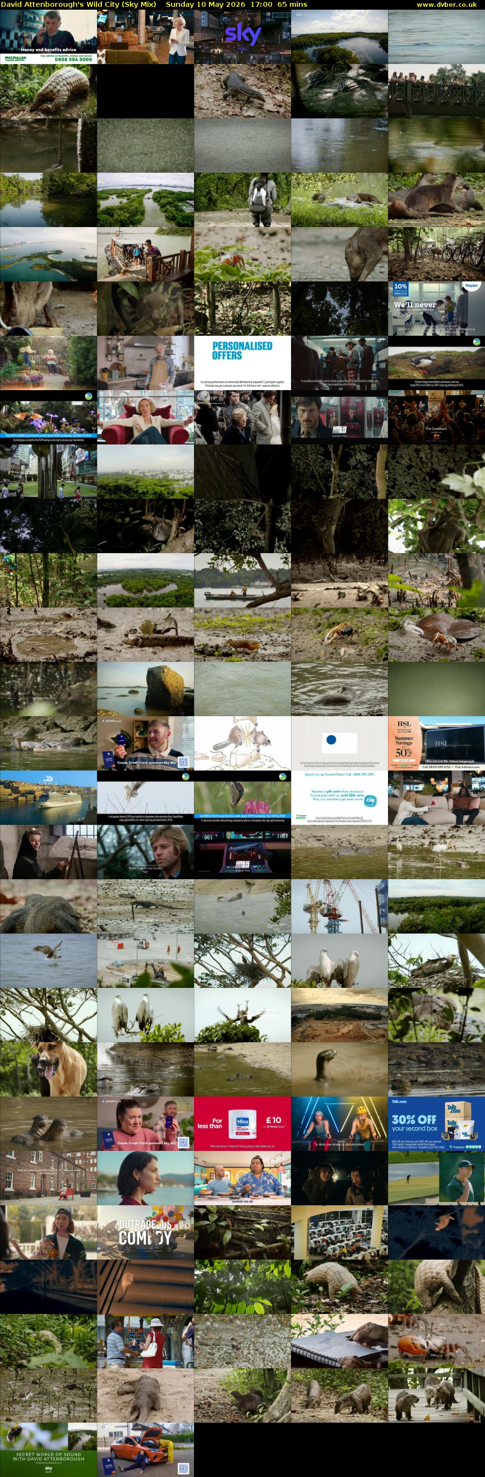 David Attenborough's Wild City (Sky Mix) Sunday 10 May 2026 17:00 - 18:05
