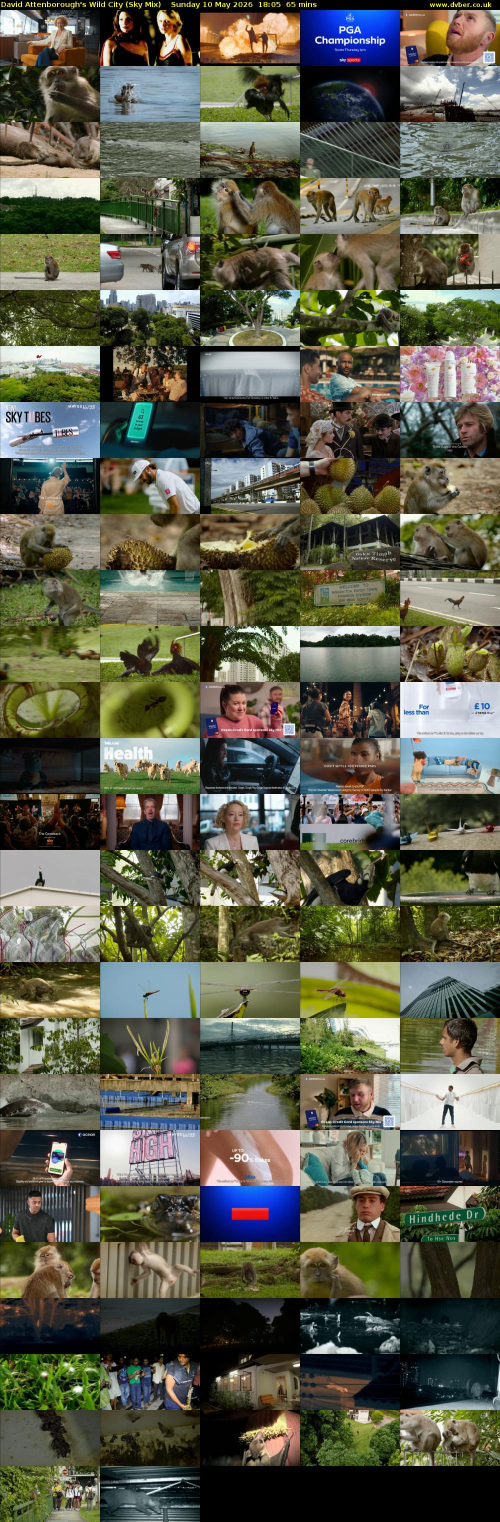 David Attenborough's Wild City (Sky Mix) Sunday 10 May 2026 18:05 - 19:10