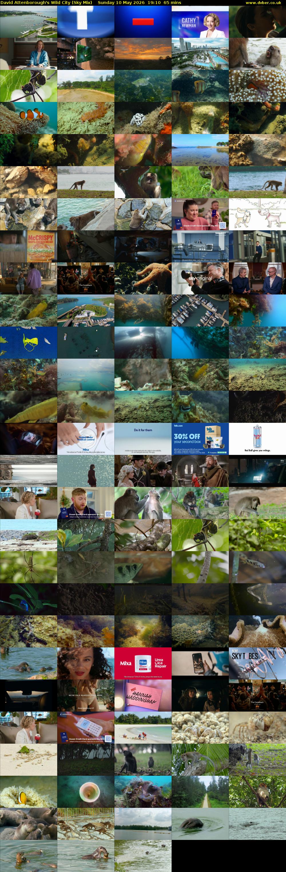 David Attenborough's Wild City (Sky Mix) Sunday 10 May 2026 19:10 - 20:15